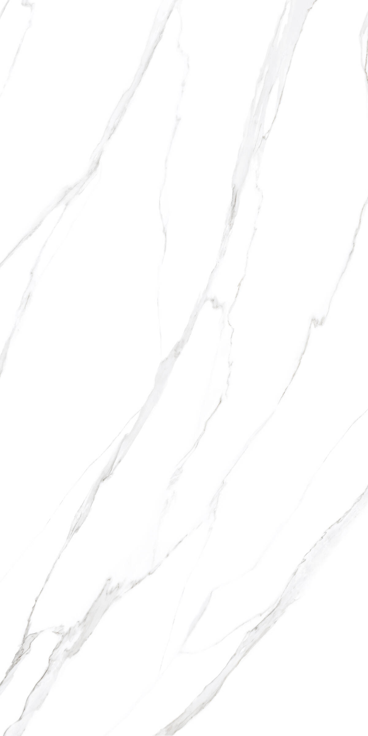 FULL BODY TILES